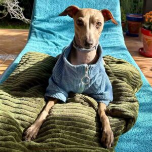 Psychological Safety